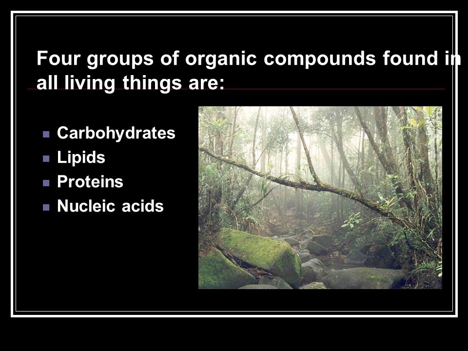 Four groups of organic compounds found in all living things are: