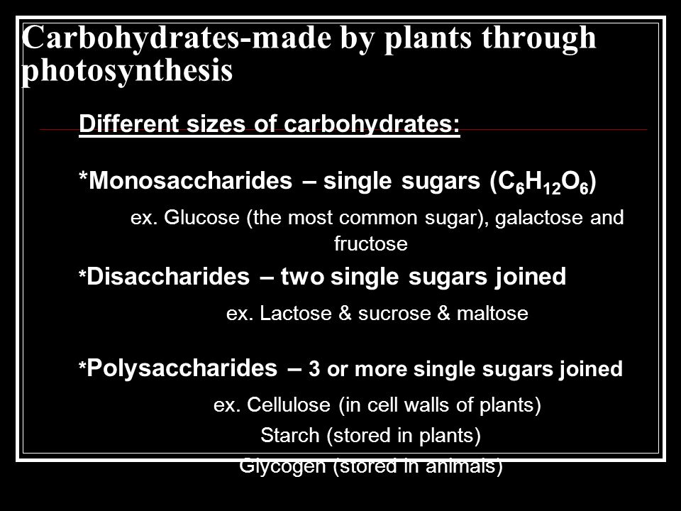 Carbohydrates-made by plants through photosynthesis