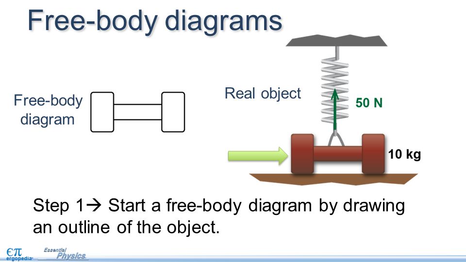 Drawing Free-Body Diagrams