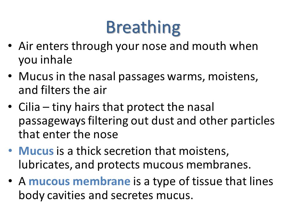 Breathing Air enters through your nose and mouth when you inhale