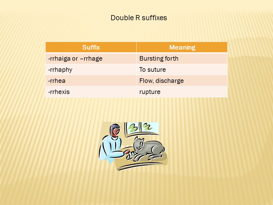 Anatomy of a medical term ppt video online download