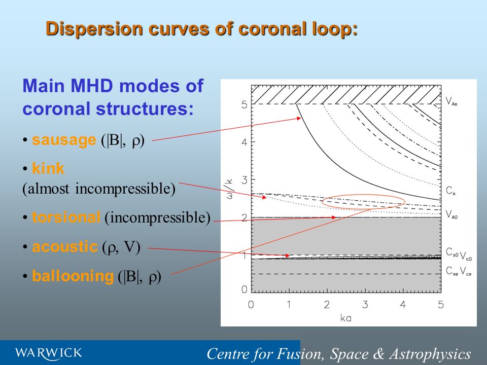 Dispersion curves of coronal loop: