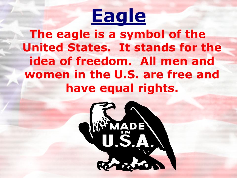 Eagle The eagle is a symbol of the United States. It stands for the idea of freedom.