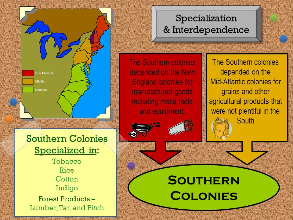 Specialization And Interdependence In The Colonies Ppt Download Specialization And Interdependence In The Colonies Ppt Download