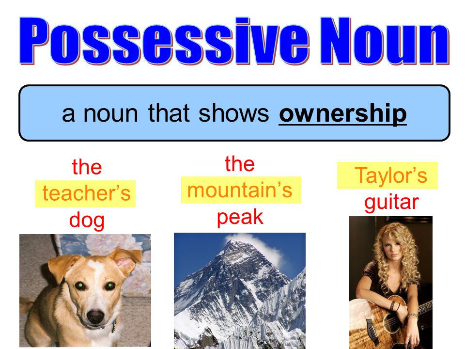 a noun that shows ownership