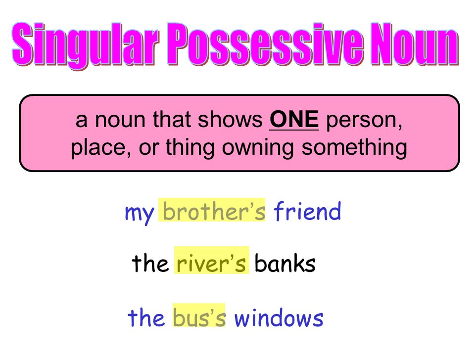 Singular Possessive Noun