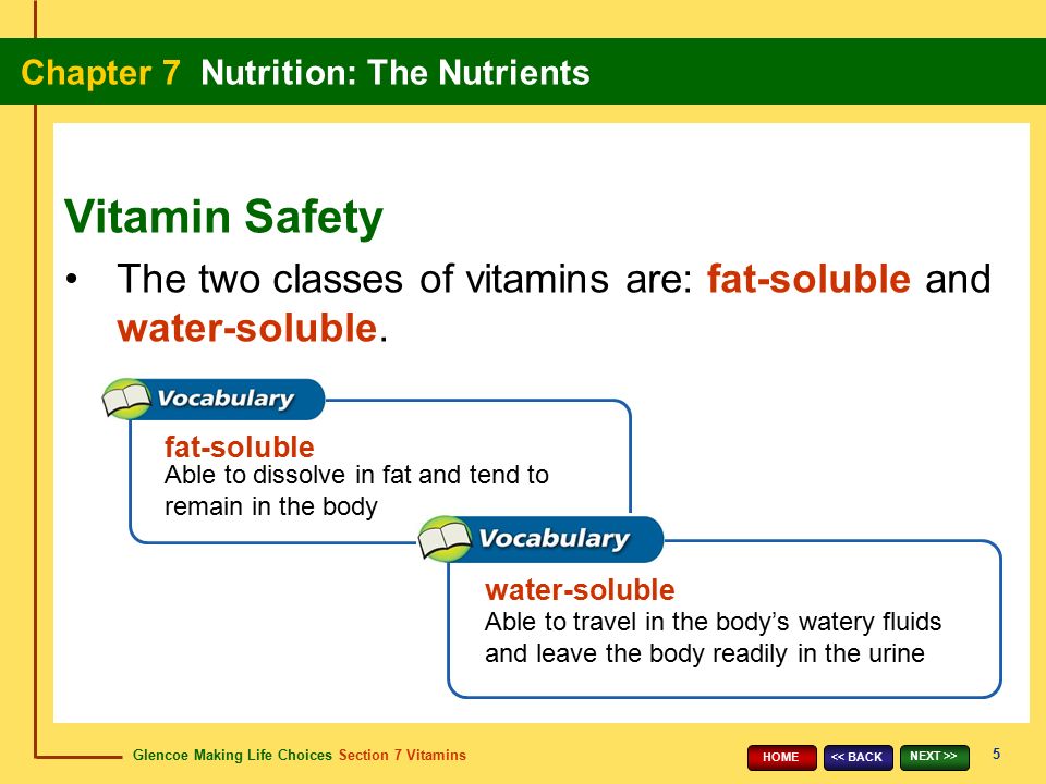 Vitamin Safety The two classes of vitamins are: fat-soluble and water-soluble. fat-soluble. Able to dissolve in fat and tend to remain in the body.