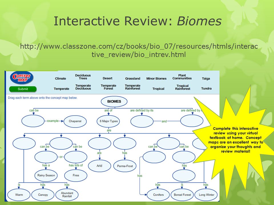 View Test Prep - Biomes Concept Map Blankspdf from BIO 9091 at Framingham H...