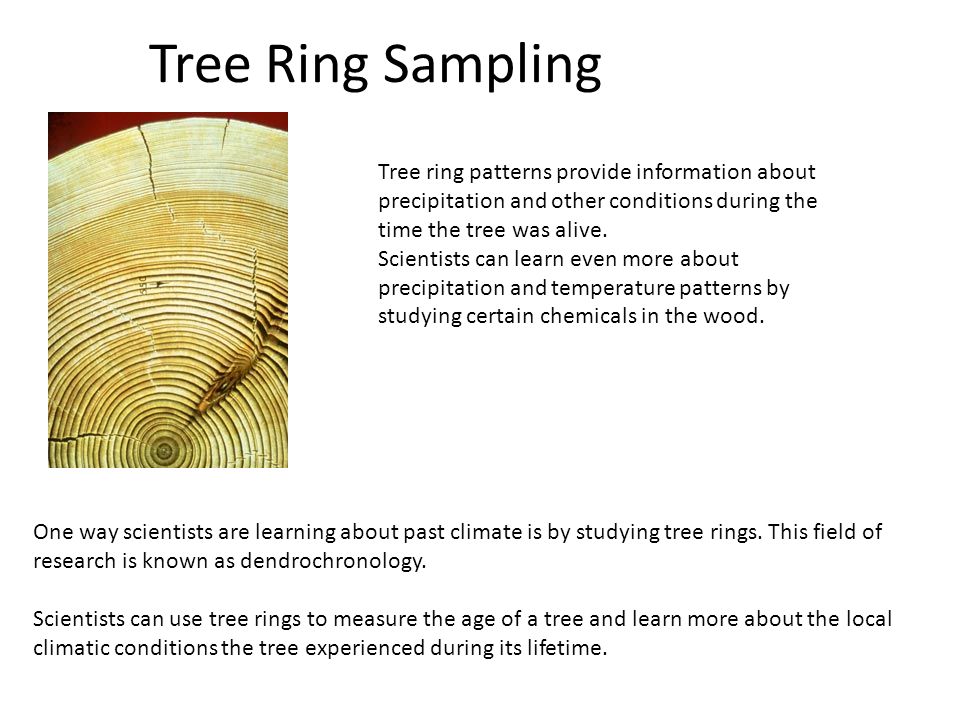 Tree Ring Sampling Tree ring patterns provide information about precipitation and other conditions during the time the tree was alive.