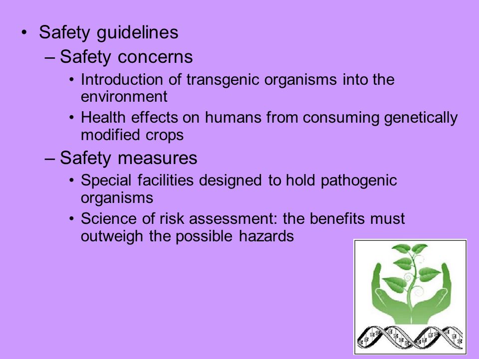 Safety guidelines Safety concerns Safety measures