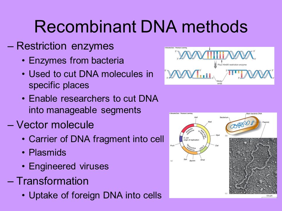 Recombinant DNA methods