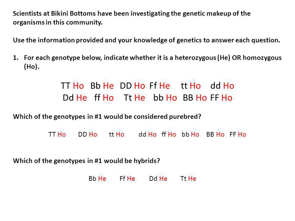 Spongebob Genetics 1 2 To Be Used With Ppt Video Online Download