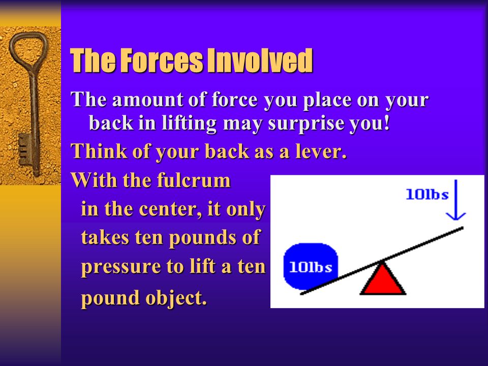 * 07/16/96. The Forces Involved. The amount of force you place on your back in lifting may surprise you!