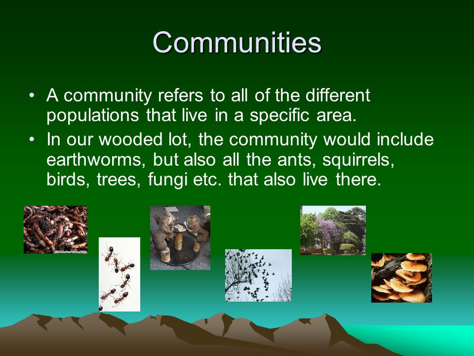 Communities A community refers to all of the different populations that live in a specific area.