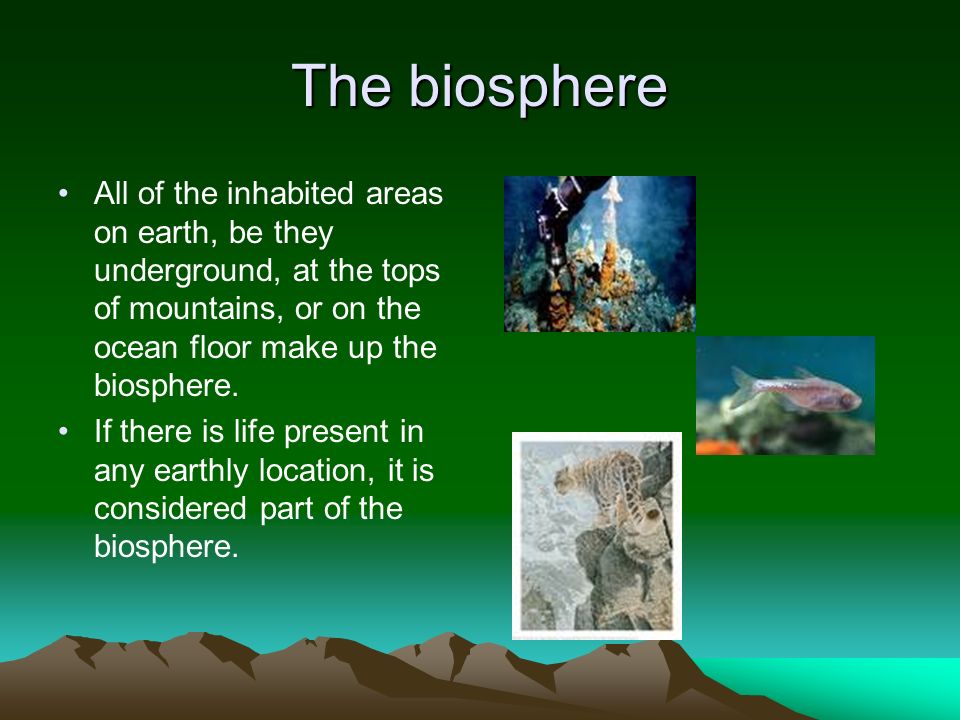 The biosphere All of the inhabited areas on earth, be they underground, at the tops of mountains, or on the ocean floor make up the biosphere.