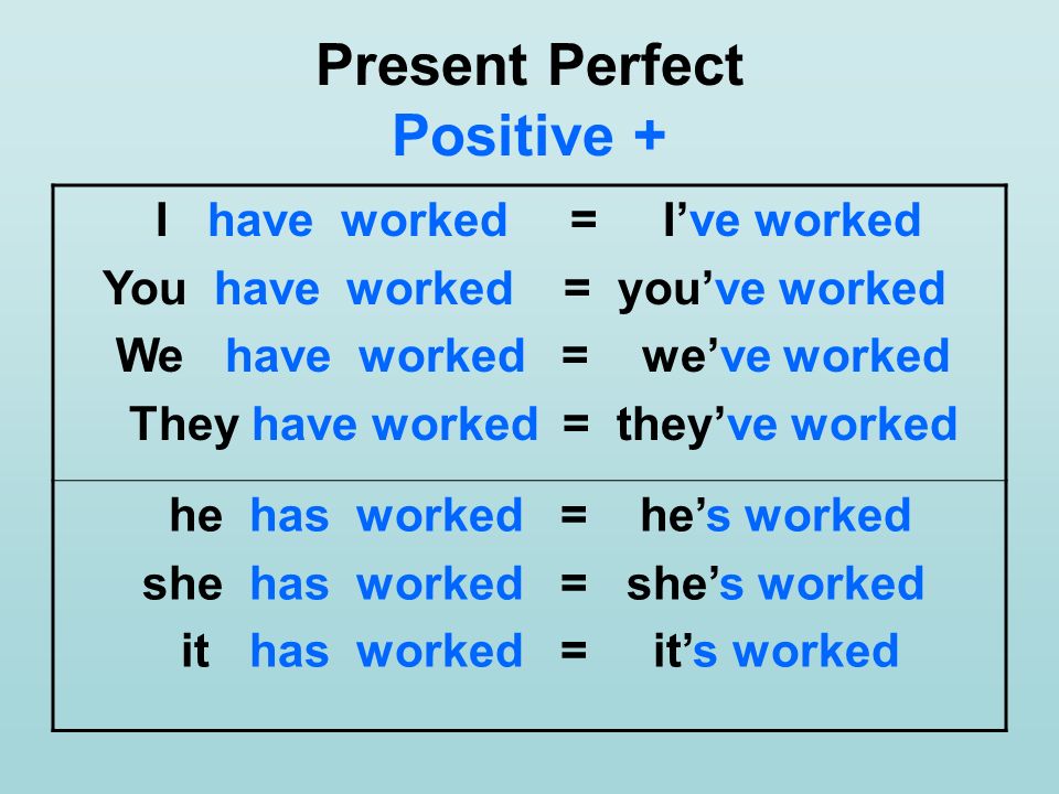 Present Perfect Positive +