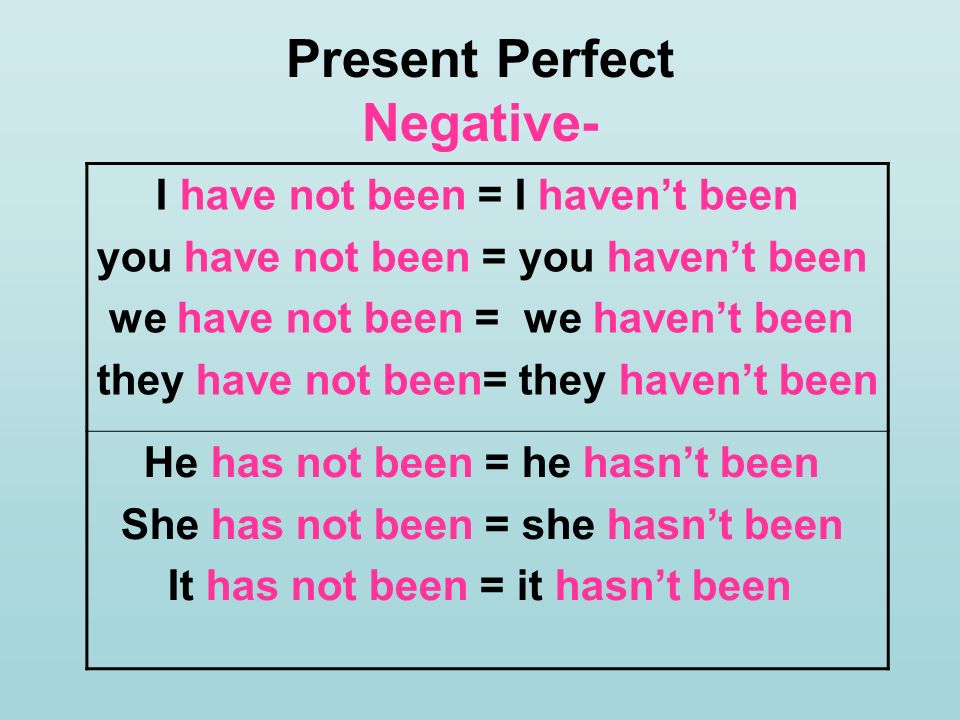 Present Perfect Negative-
