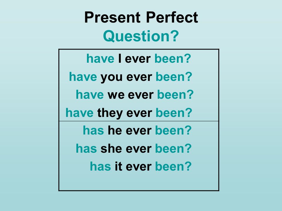 Present Perfect Question