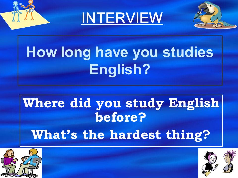 How long have you studies English
