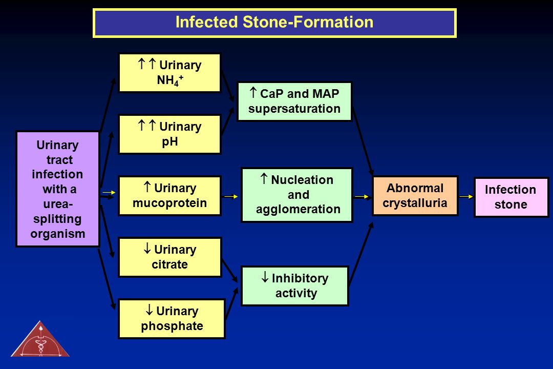Infected Stone-Formation