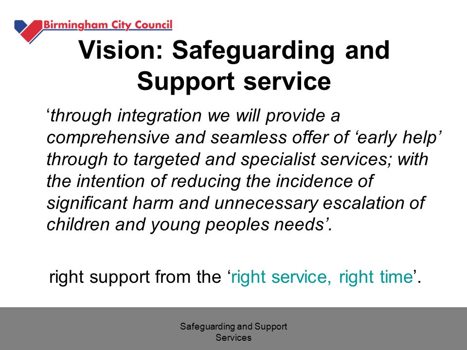 Vision: Safeguarding and Support service