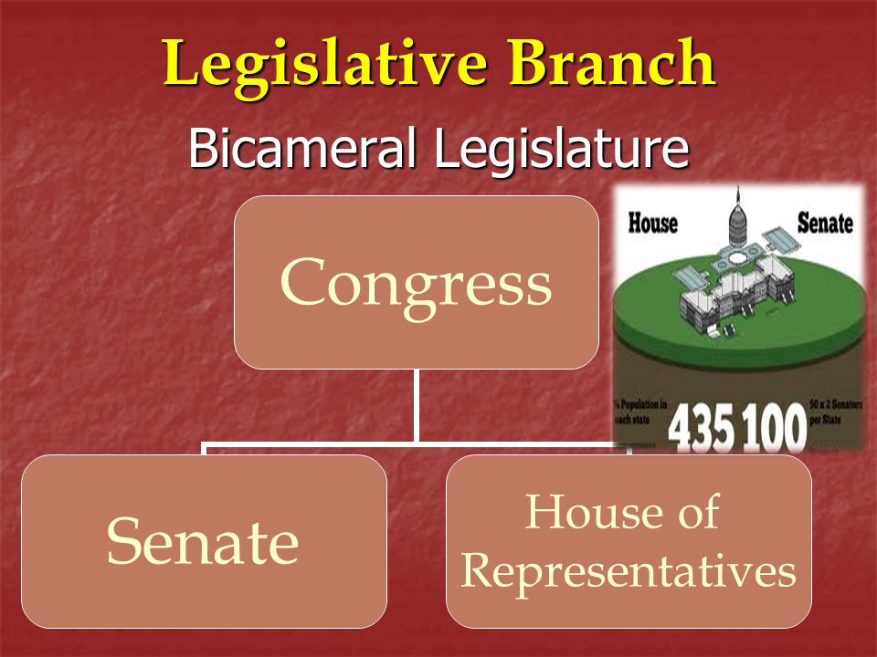 Bicameral Legislature