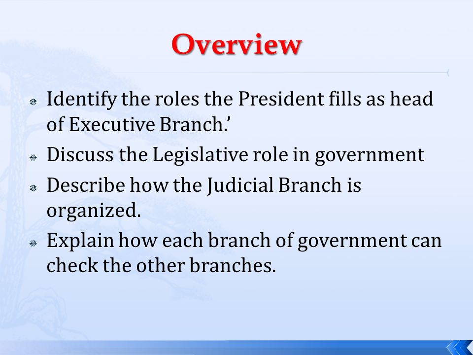 Overview Identify the roles the President fills as head of Executive Branch.’ Discuss the Legislative role in government.