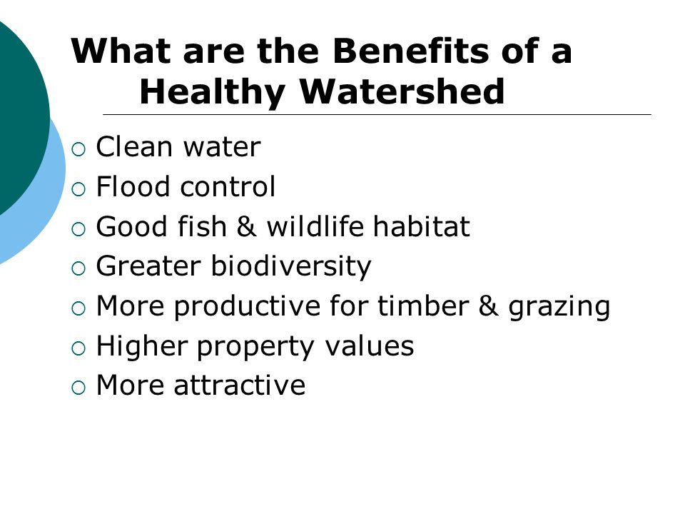 What are the Benefits of a Healthy Watershed