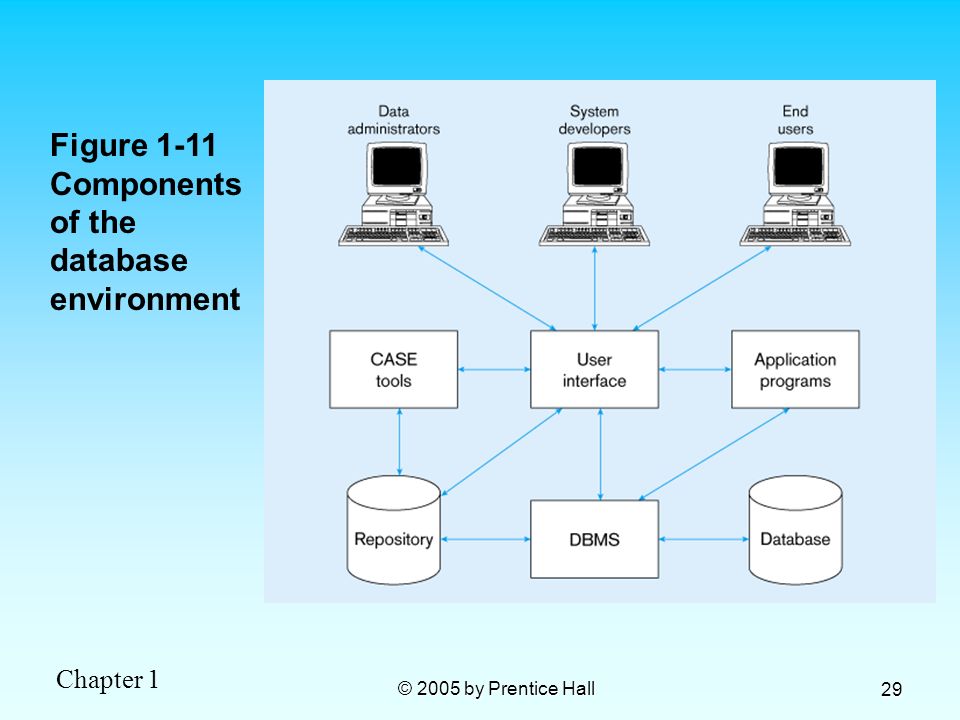 Figure 1-11 Components of the database environment