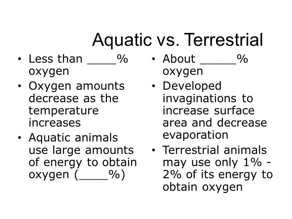 Aquatic vs. Terrestrial