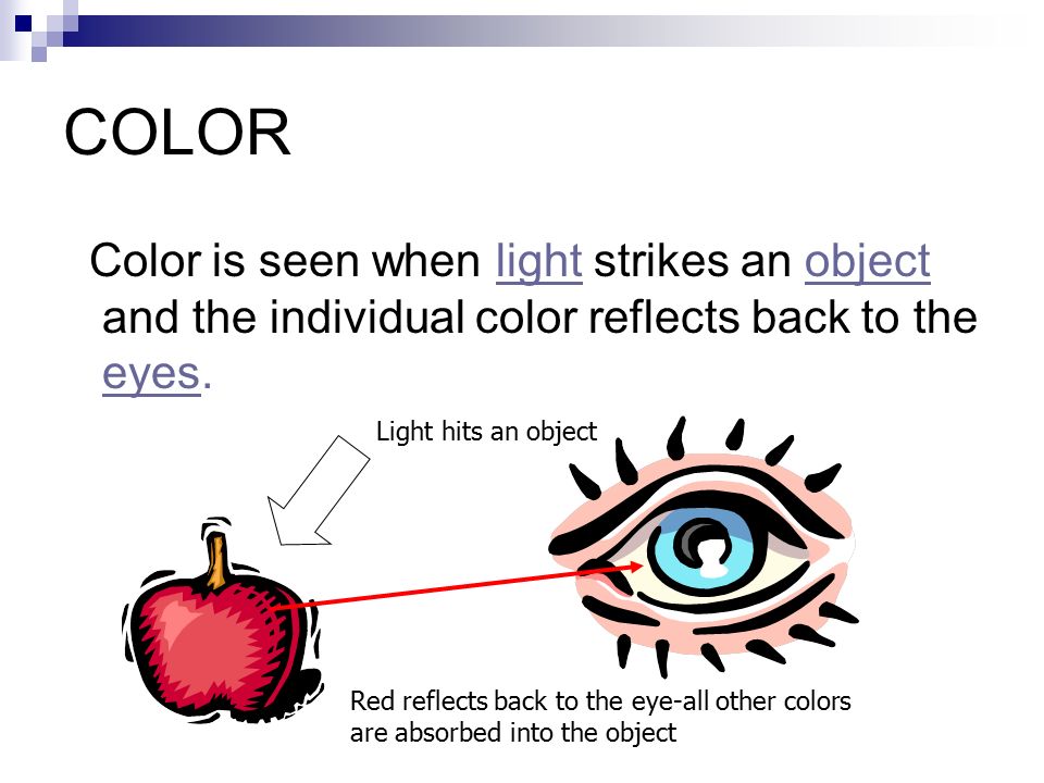 COLOR Color is seen when light strikes an object and the individual color reflects back to the eyes.