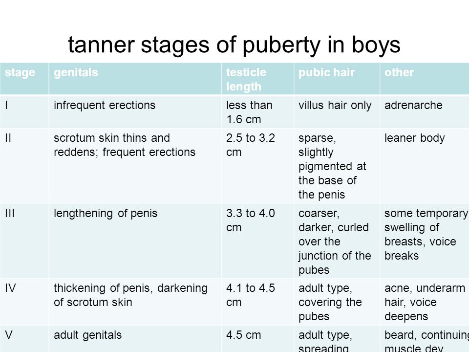 what are the stages of puberty