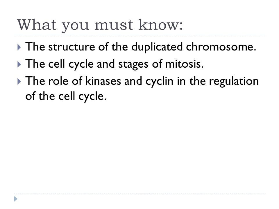 What you must know: The structure of the duplicated chromosome.