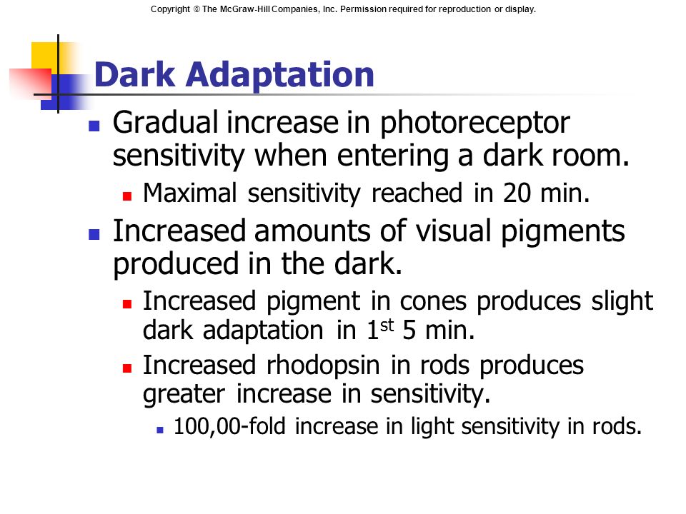 Dark Adaptation Gradual increase in photoreceptor sensitivity when entering a dark room. Maximal sensitivity reached in 20 min.
