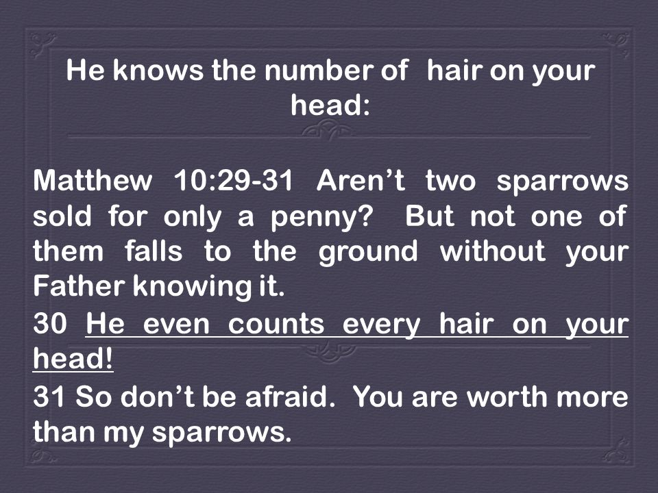 33+ He Knows Every Hair On Your Head - Liconnikoal