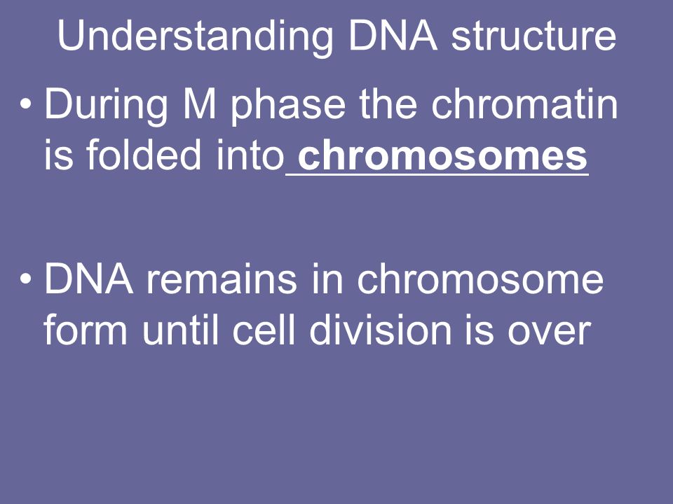 Understanding DNA structure