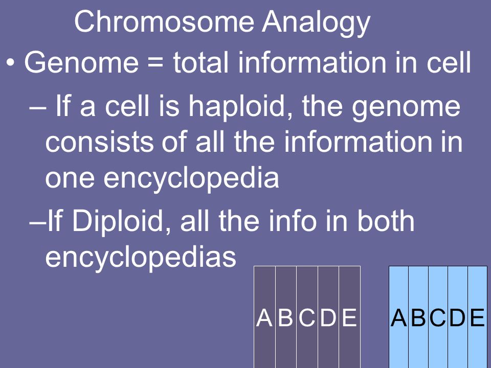Genome = total information in cell