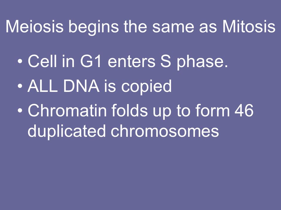 Meiosis begins the same as Mitosis