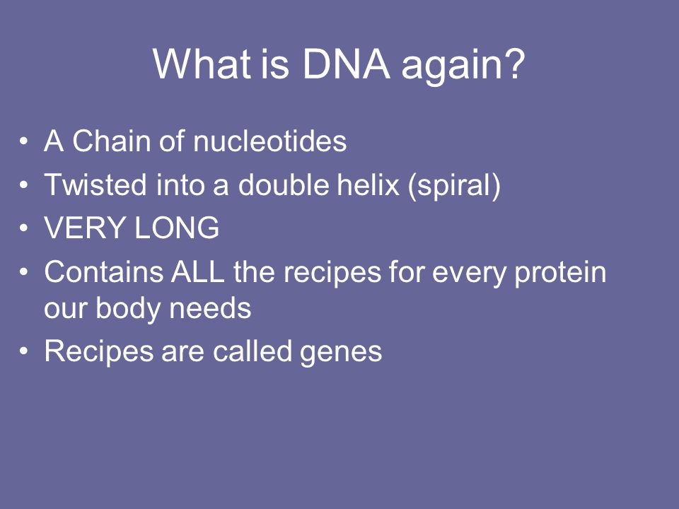 What is DNA again A Chain of nucleotides