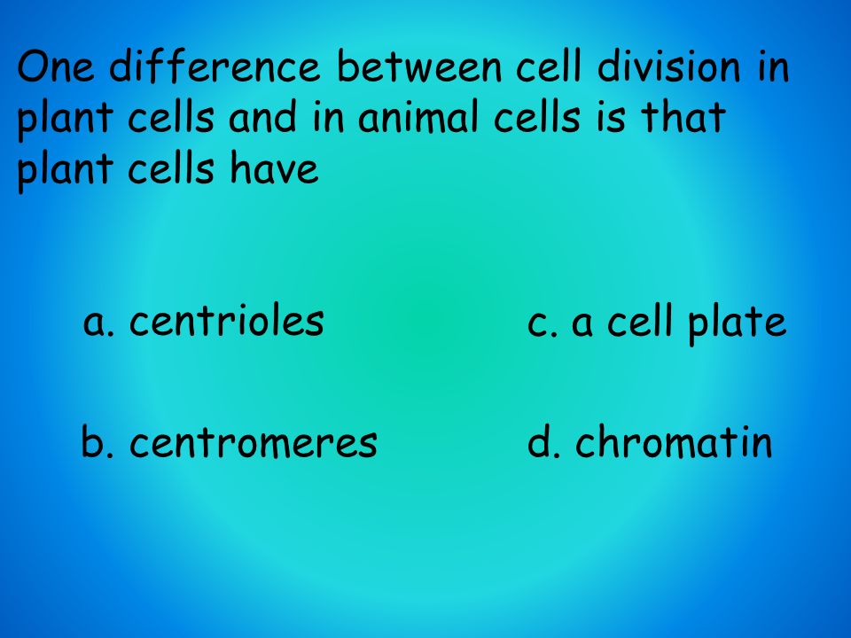 Plant Cell Division Which Differentiates It From Animal Cell Division - Cell Division / Jan 17, 2020 · plant cell structures (see below for key to numbering) (source: