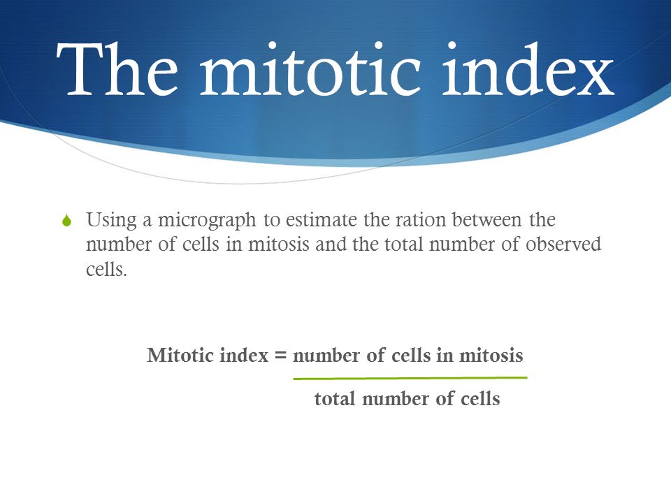 ppt video online download Biology Diagrams