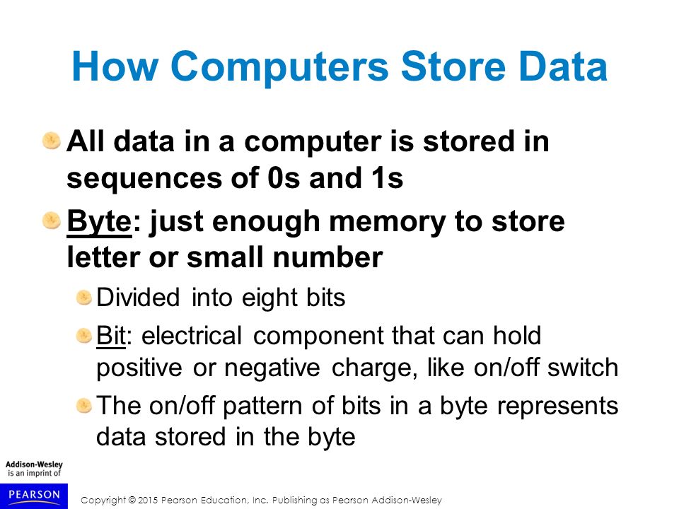 Topics Introduction Hardware and Software How Computers Store Data - ppt  video online download
