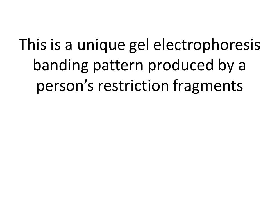 This is a unique gel electrophoresis banding pattern produced by a person’s restriction fragments