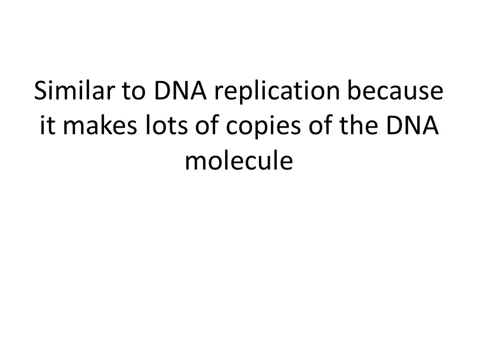 Similar to DNA replication because it makes lots of copies of the DNA molecule