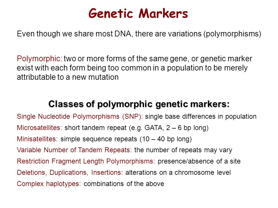 Role of Genetic Polymorphisms in Responses to Toxic Agents - ppt download