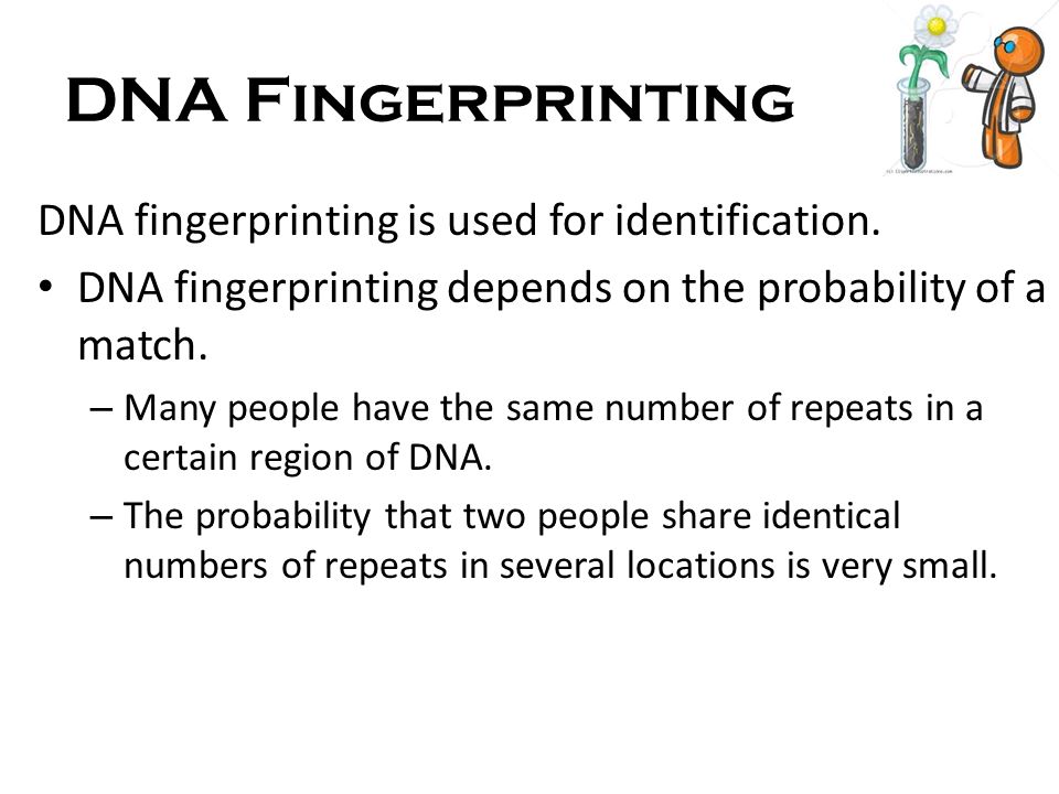 DNA Fingerprinting DNA fingerprinting is used for identification.