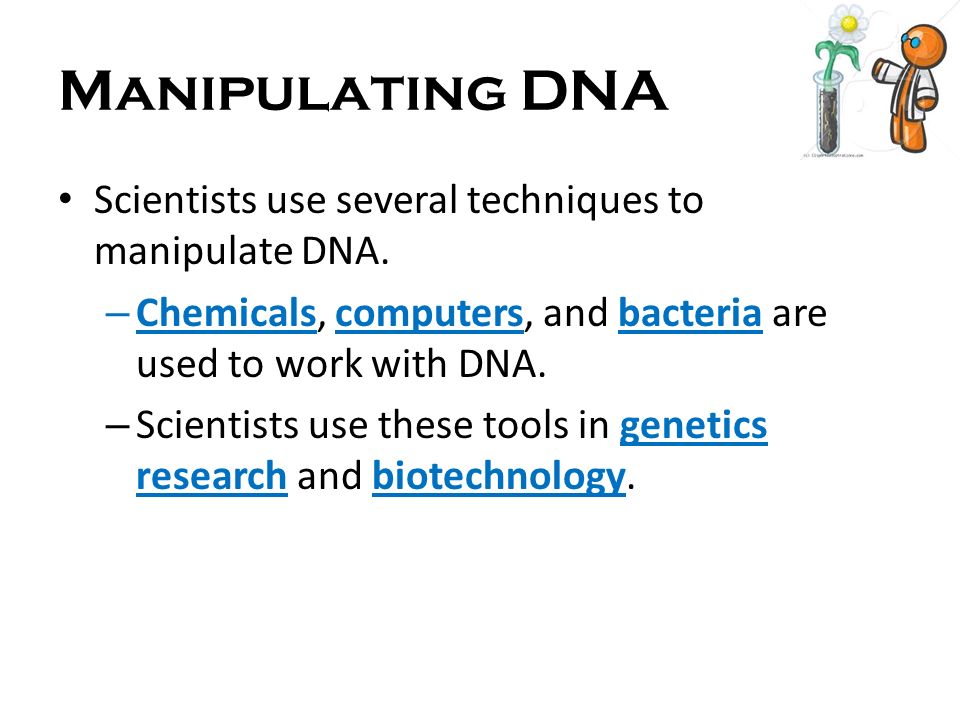 Manipulating DNA Scientists use several techniques to manipulate DNA.
