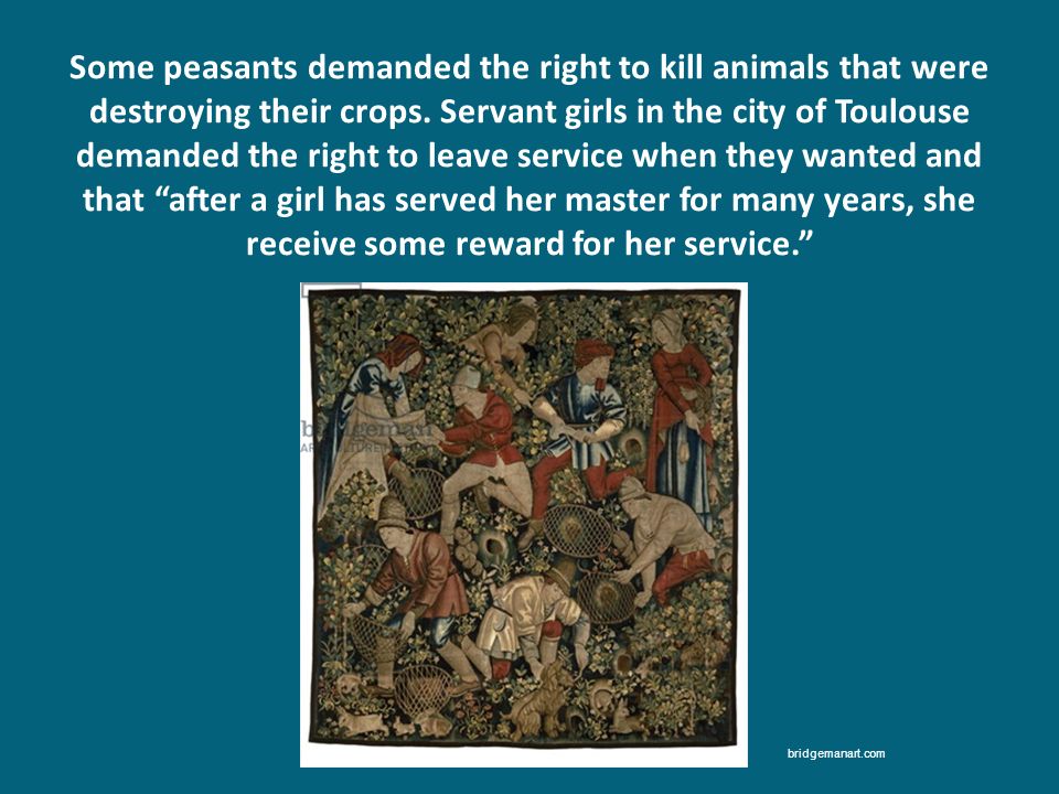 Some peasants demanded the right to kill animals that were destroying their crops. Servant girls in the city of Toulouse demanded the right to leave service when they wanted and that after a girl has served her master for many years, she receive some reward for her service.
