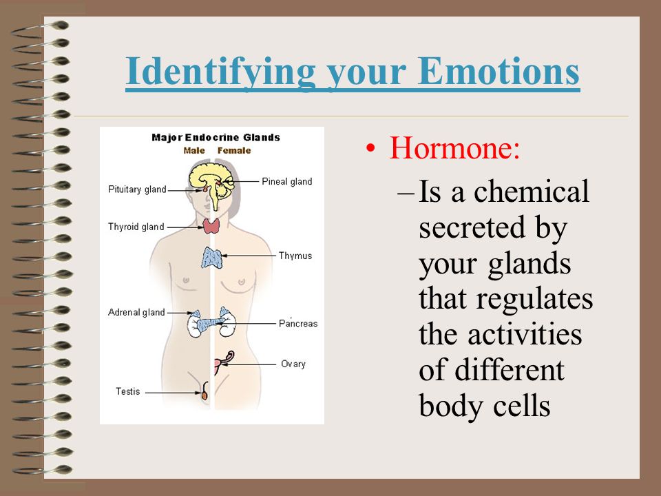 Identifying your Emotions