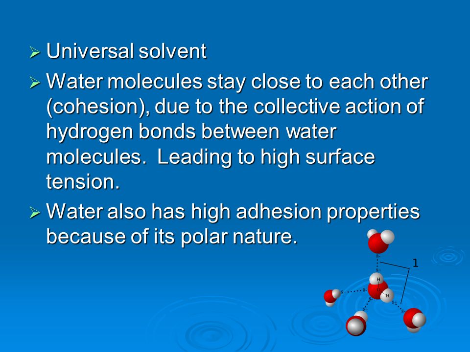 Universal solvent